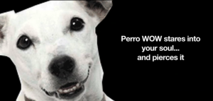 Perro WOW